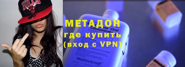 прущие грибы Надым