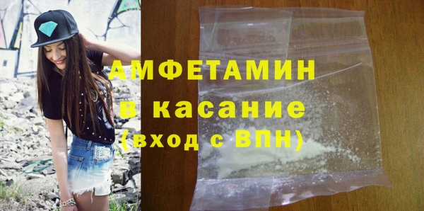 прущие грибы Надым
