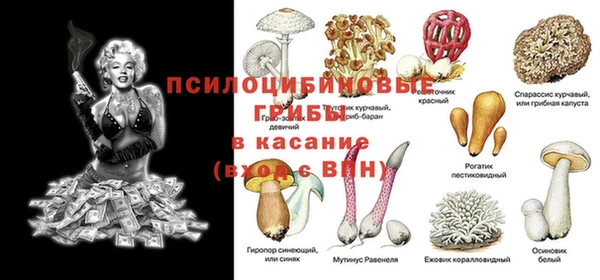 прущие грибы Надым
