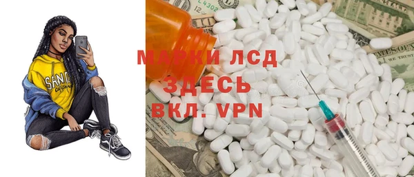 прущие грибы Надым