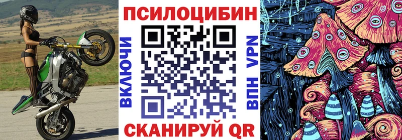 Галлюциногенные грибы Cubensis Нестеров